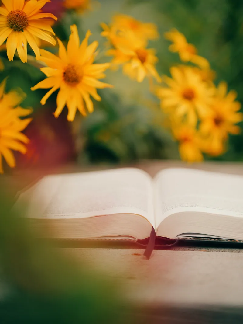 Bible ouverte dans un lieu de culte propre et accueillant